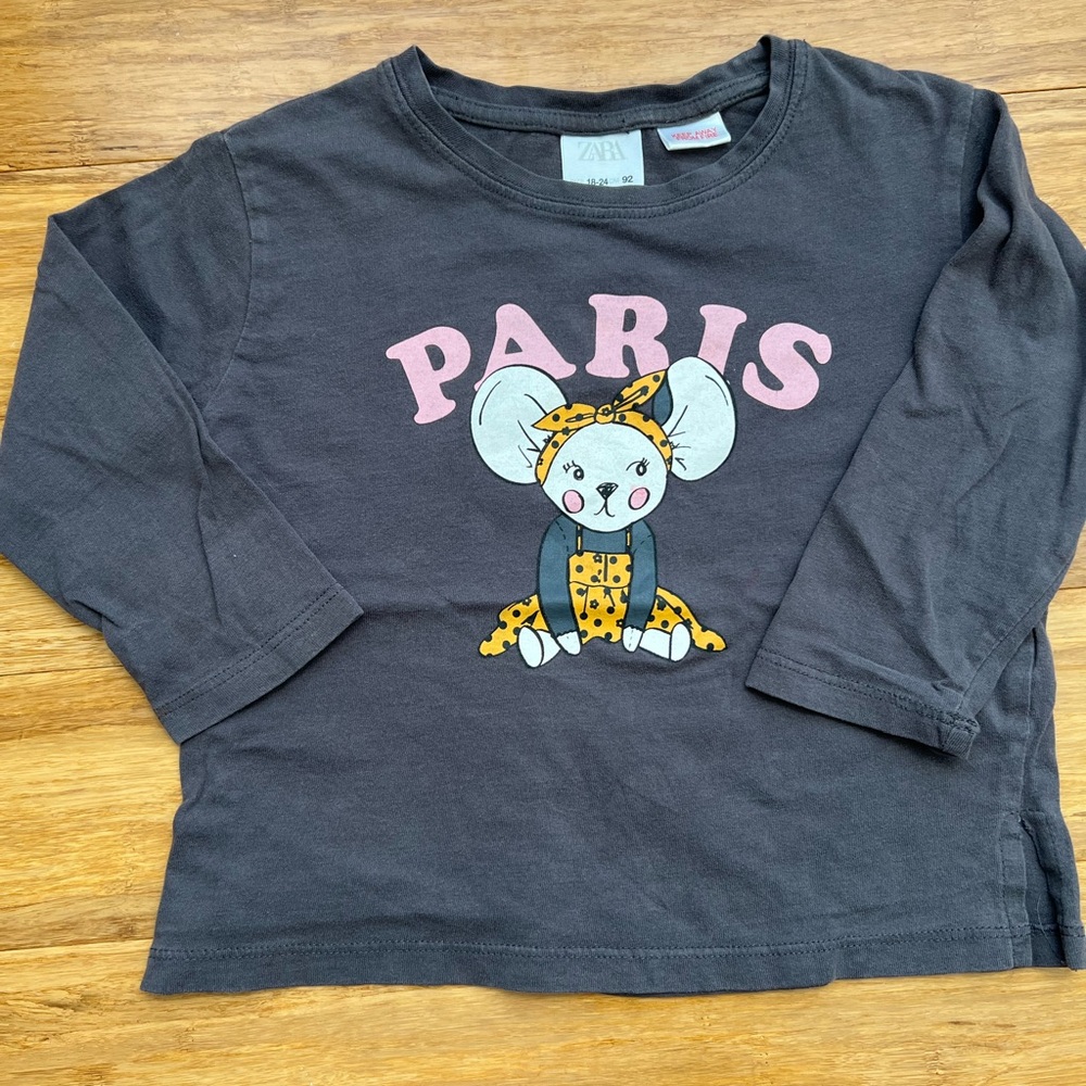 Zara Graphic Long Sleeve Top